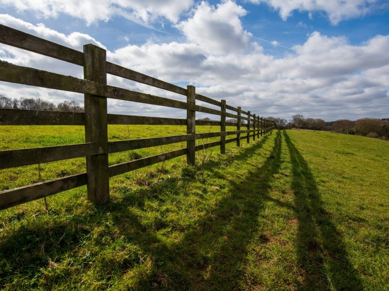 Timber-post-and-rail-fence-blog-scaled